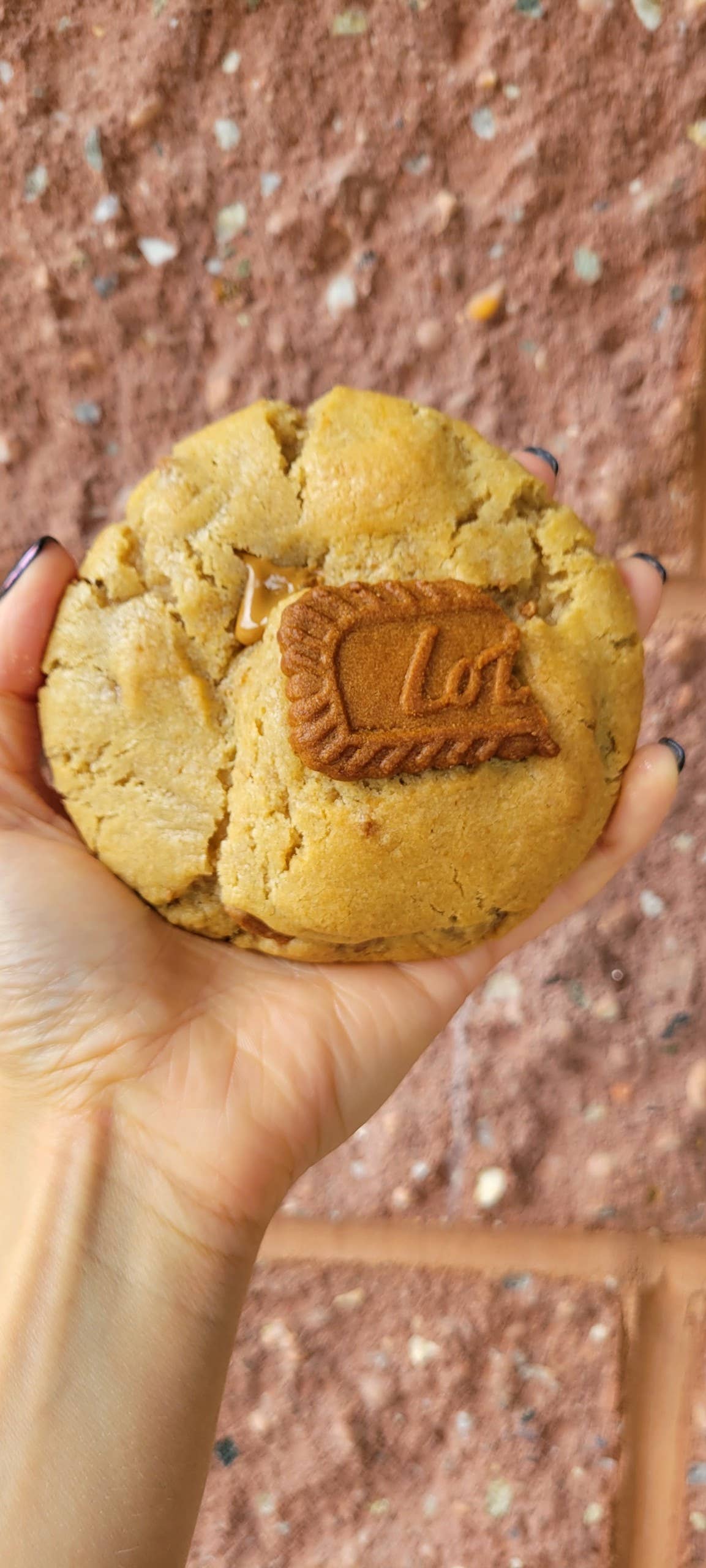 STUFFED: Cookie Butter Cookie