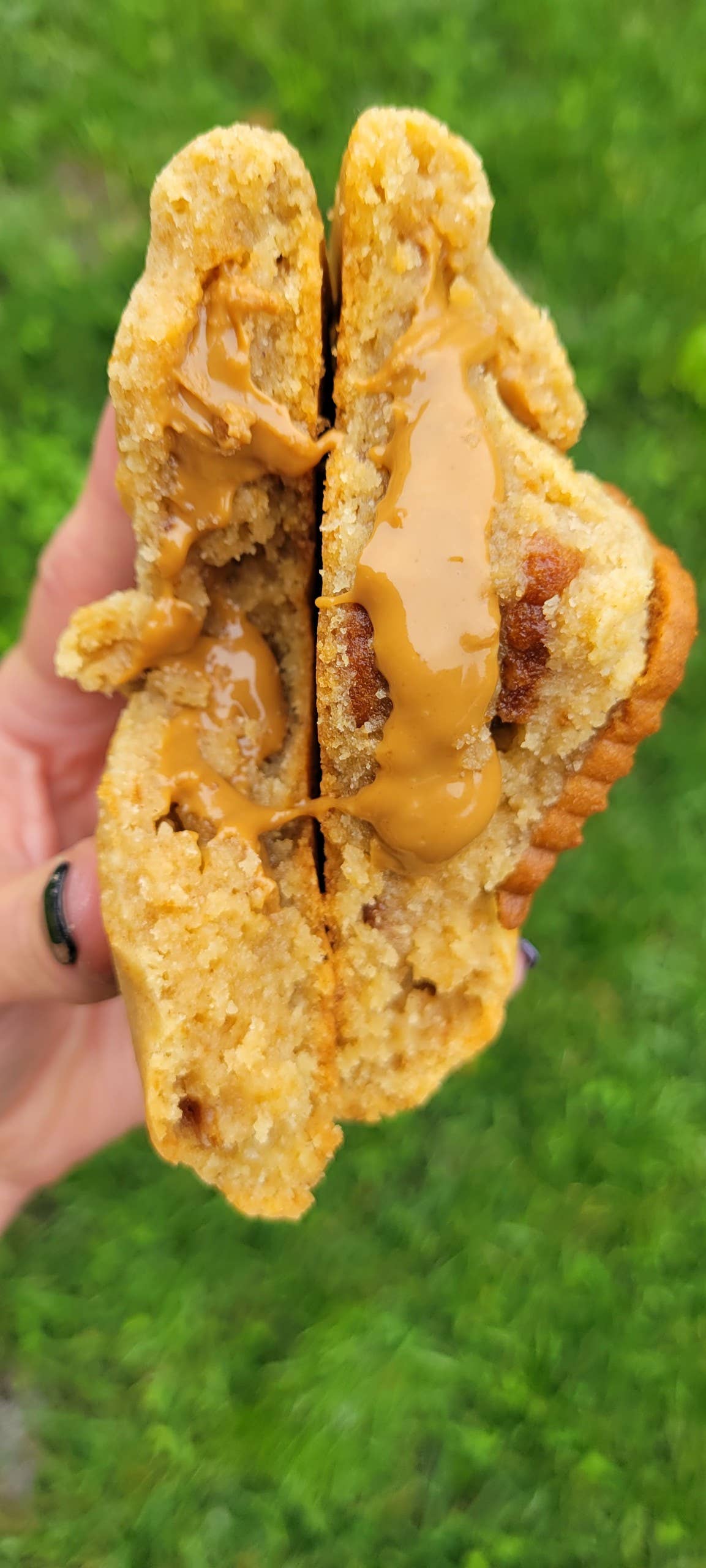 STUFFED: Cookie Butter Cookie